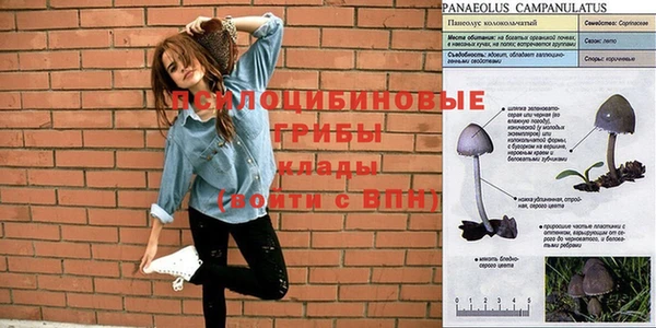 скорость Вязьма